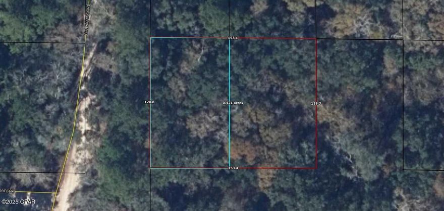 Very nice lot in the Caryville Campsites. This is two lots combined to make one good sized lot. Not far from the boat landing on the Choctawhatchee River. This area is subject to flooding.