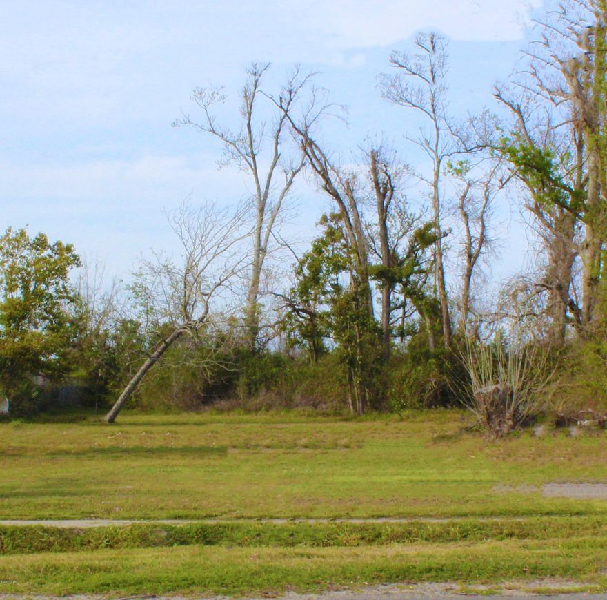 Here is your opportunity to build on nearly 1/2 acre lot on Hwy 22 close to Tyndall Parkway. all utilities on site, Present zoning is R6-M, but is right in the middle of mixed use area. This property is a blank slate that is ready for what ever you want to build. All utilities are on site. DOT traffic count 5400 per day.