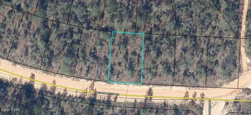 This property is in the up and coming Sunny Hills subdivision. It is in area of the subdivision that has been relatively untouched to development recently. Sunny Hills is home to a golf course, Boat Lake Swim Park and a recreational park. There are also many lakes in the area. You will need a 4 wheel drive vehicle to access this lot since it is in a area not often traveled and the roads are sandy.