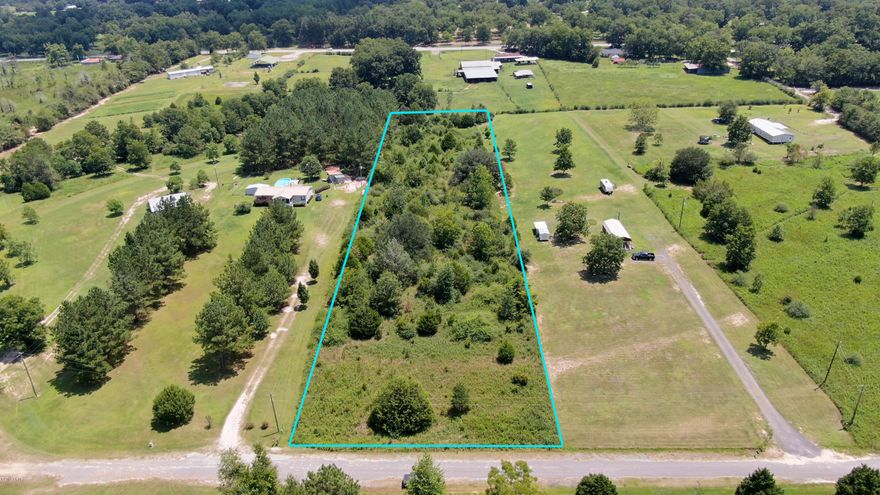 Beautiful, High and Dry Lot in The Twin Lakes Subdivision! This 2.73 Acre lot is ready for you to Build or put a Mobile Home on it. The property sits about 7 miles North of the Bonifay City limits, and is roughly an Hour from the Worlds Most Beautiful Beaches in Panama City Beach. Schedule Your Showing Today@
