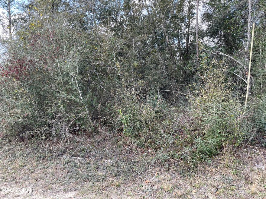 Nice Cul-de-Sac lot near the 18-hole golf course in Sunny Hills.  No HOA and just 45 minutes to Panama City Beaches!  This will not last long!
