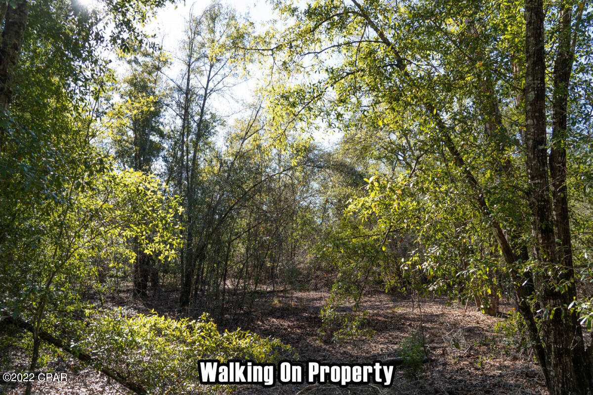 No Named Subdivision - Land