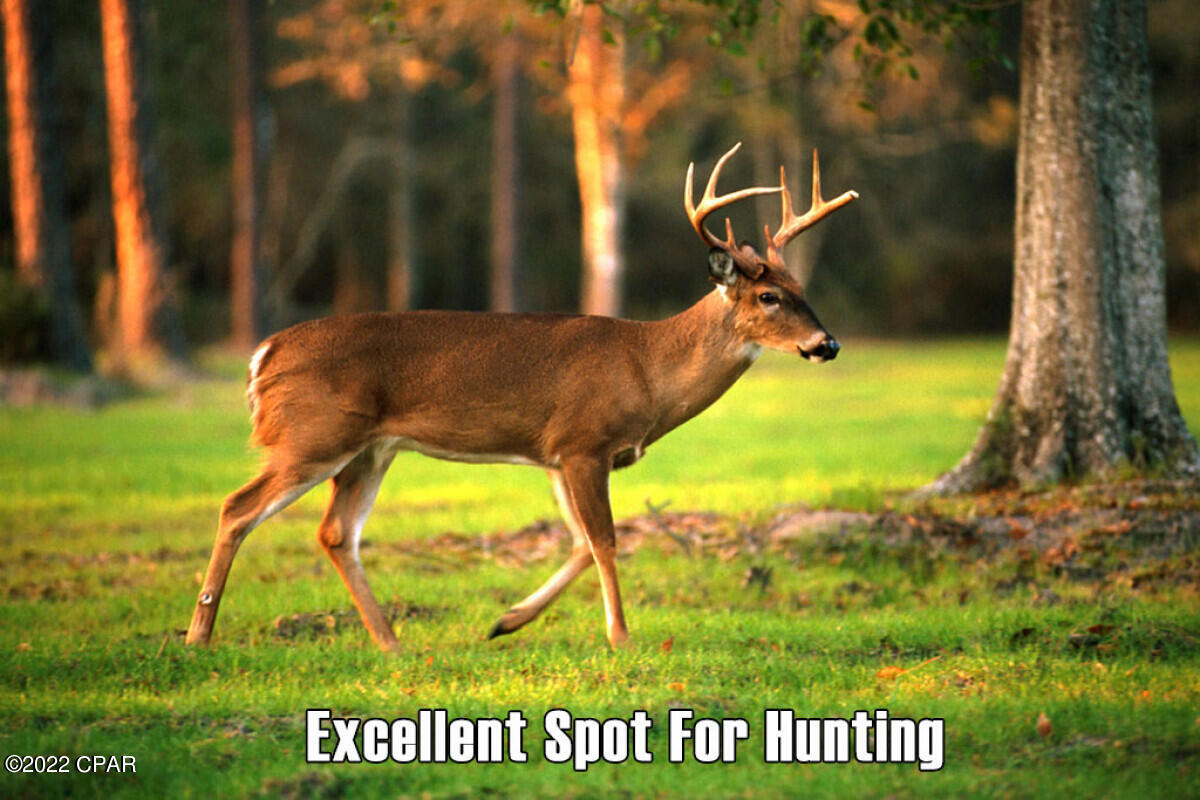 No Named Subdivision - Land