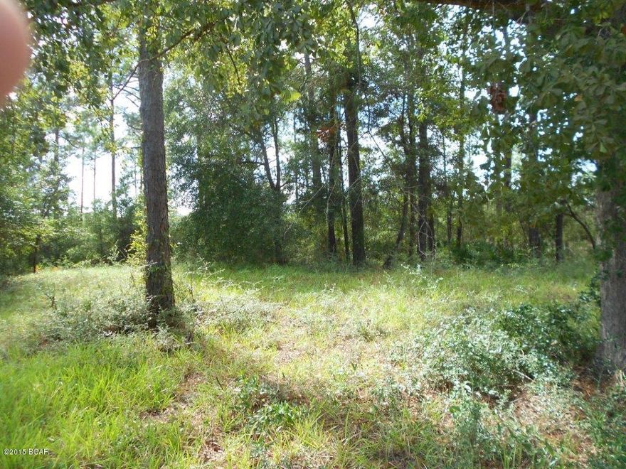 Total acreage of 4.174 with 1.509 SFR Rural and 2.665 Marsh. Located along Highway 77 just past the Marina Bay condominiums. Currently zoned residential land but could easily be changed to commercial land.