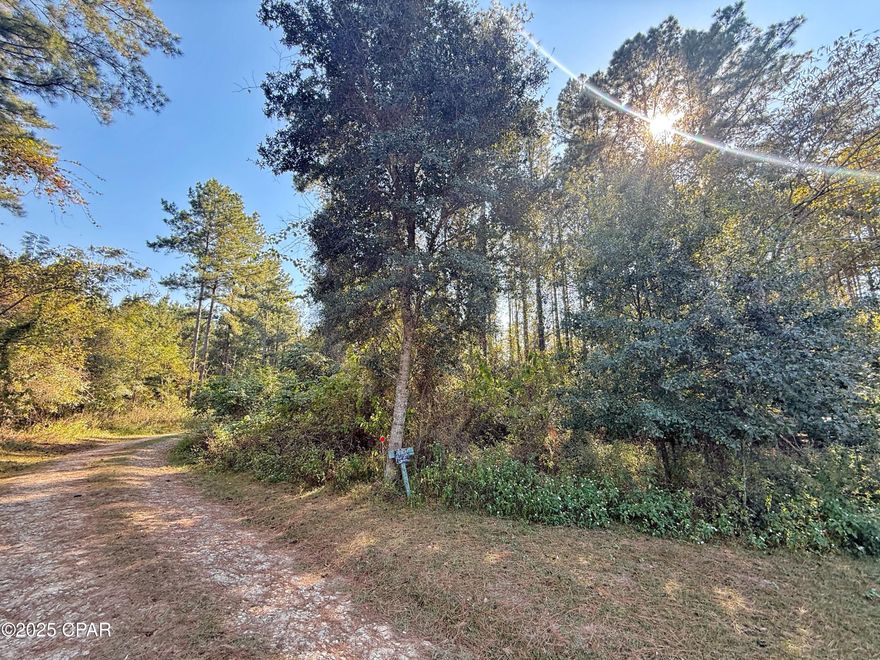 Escape to your own private retreat on this beautiful 10-acre wooded parcel featuring towering pines and natural Florida growth. As you drive in, you'll be greeted by a peaceful setting surrounded by well-maintained homes along the way, creating a welcoming rural atmosphere. Conveniently located just off paved River Road and only minutes from Lake Seminole, where world-class bass fishing awaits! Whether you envision a site-built home or a mobile home, this property offers the freedom to design your perfect getaway. Enjoy the best of both worlds—a quiet, secluded setting with the convenience of town just a short drive away.