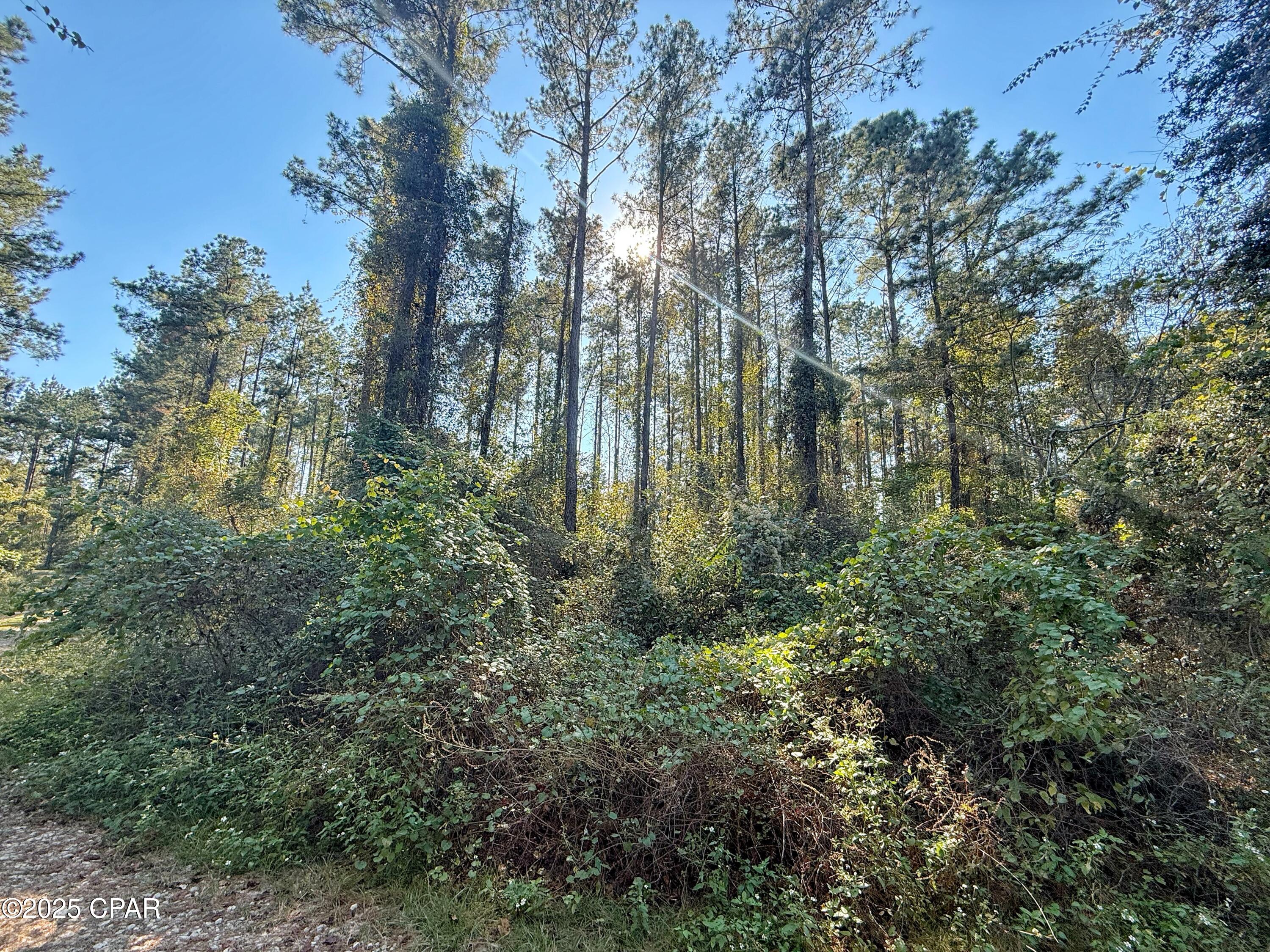 No Named Subdivision - Land