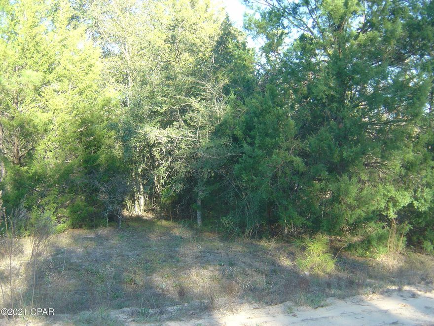 Excellent lot in Compass Lake in the Hills with all the amenities of CLH with a community pool and beach area on McCormick lake.  No gasoline engines are allowed on McCormick lake.  Assessment fees are not required but are requested by the POA to keep up the amenities in the amount of 135 per lot on an annual basis.