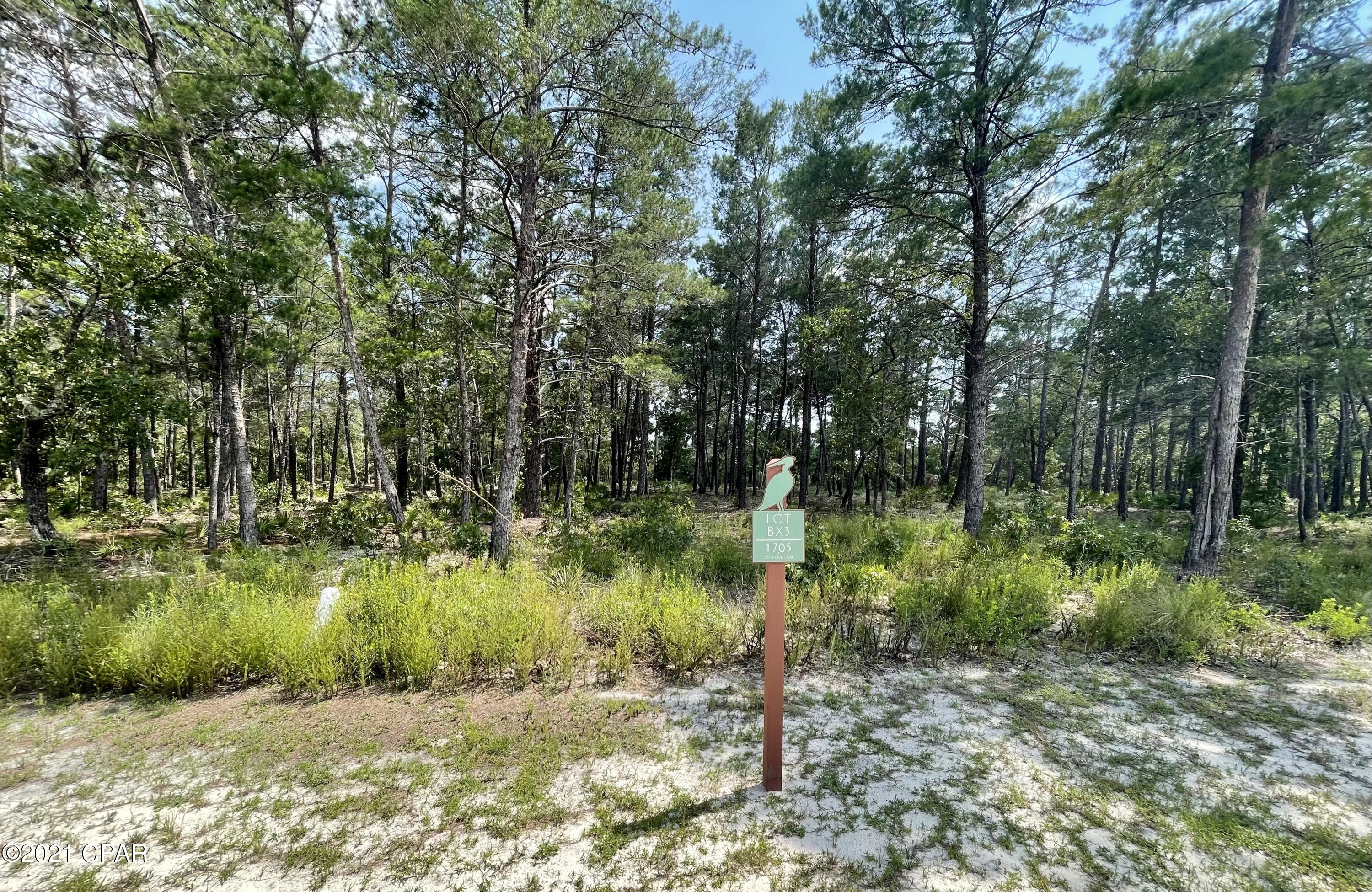 Wild Heron Phase X - Land