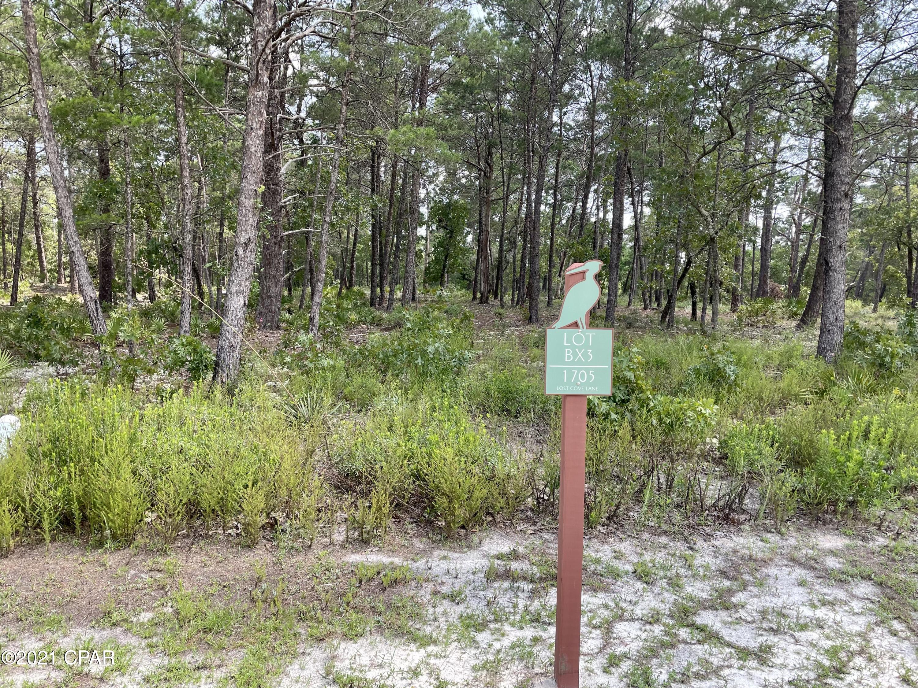 Wild Heron Phase X - Land