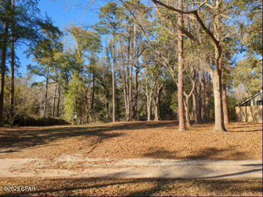 If you love the water and fishing, check out this beautiful lot located right across the street from Lake Talquin.  Property is cleared and has a well, septic and power pole.  Beautiful building site.