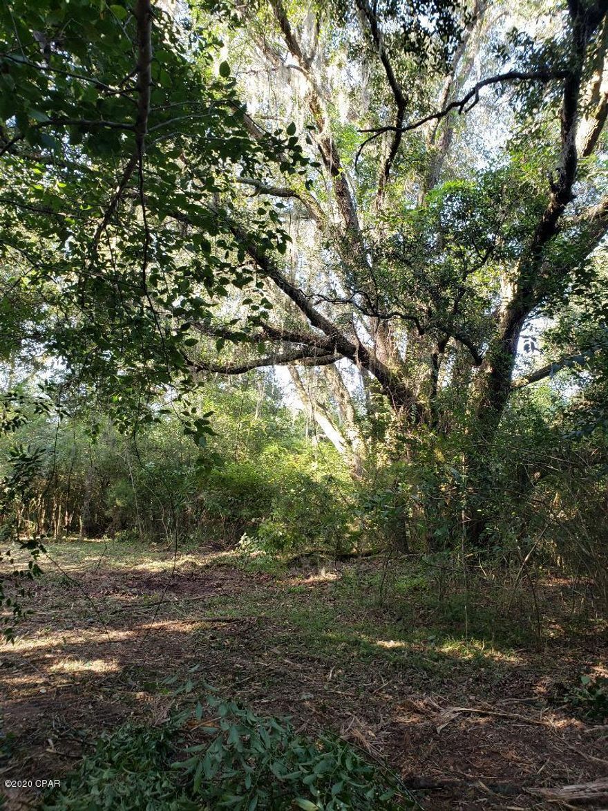 Very nice level  lot to build or put a mobile home,no restrictions, city water, on a paved road, owner financing available, very easy terms, all measurements are approximate there is a survey. Parcel 3 is available. Very nice large oaks on the lot,