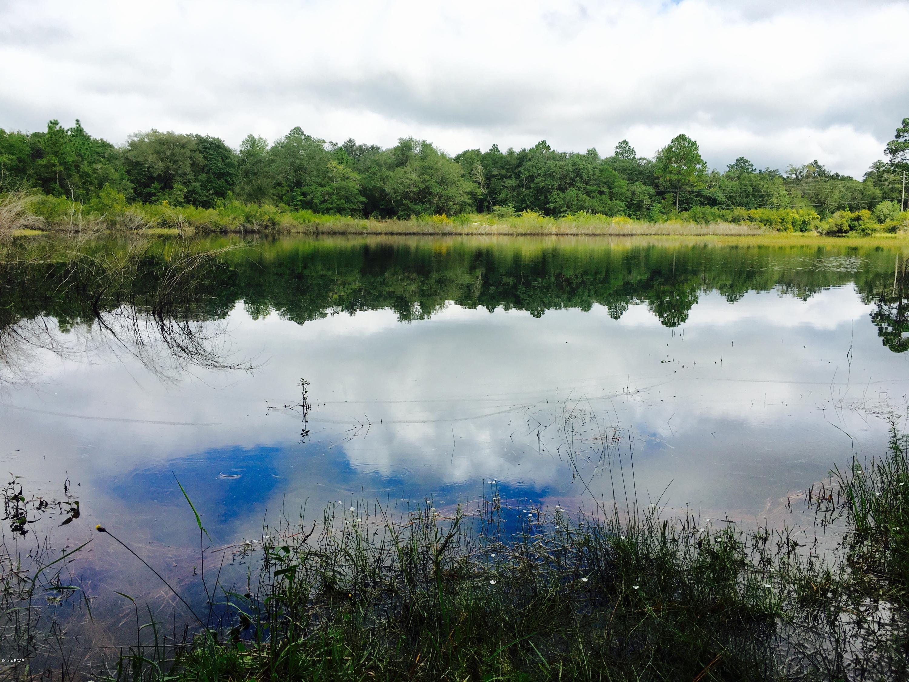Sunny Hills - Residential