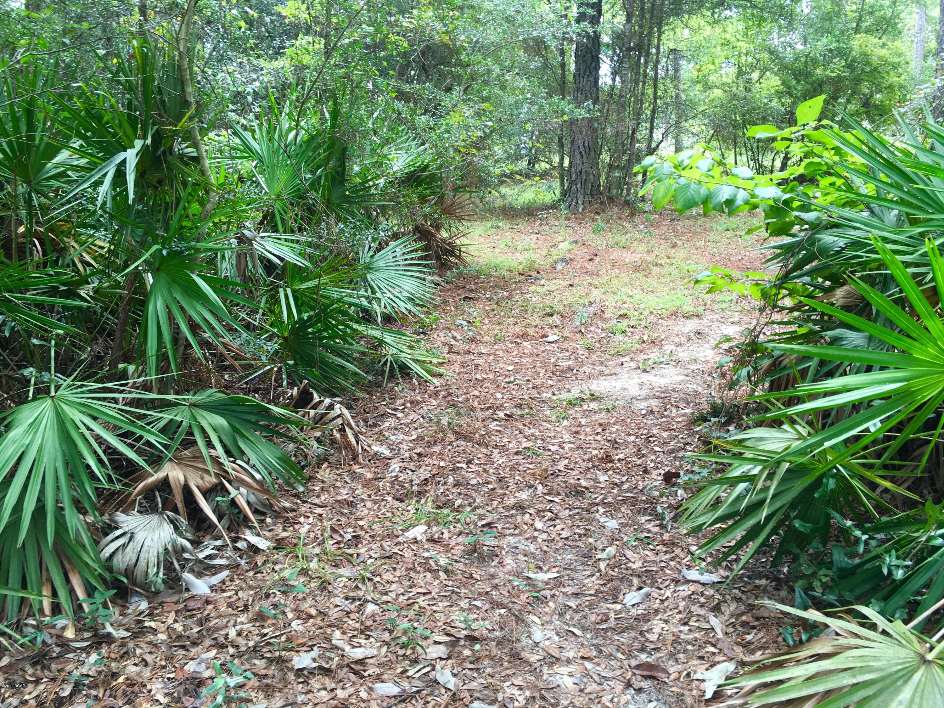 Sunny Hills - Residential