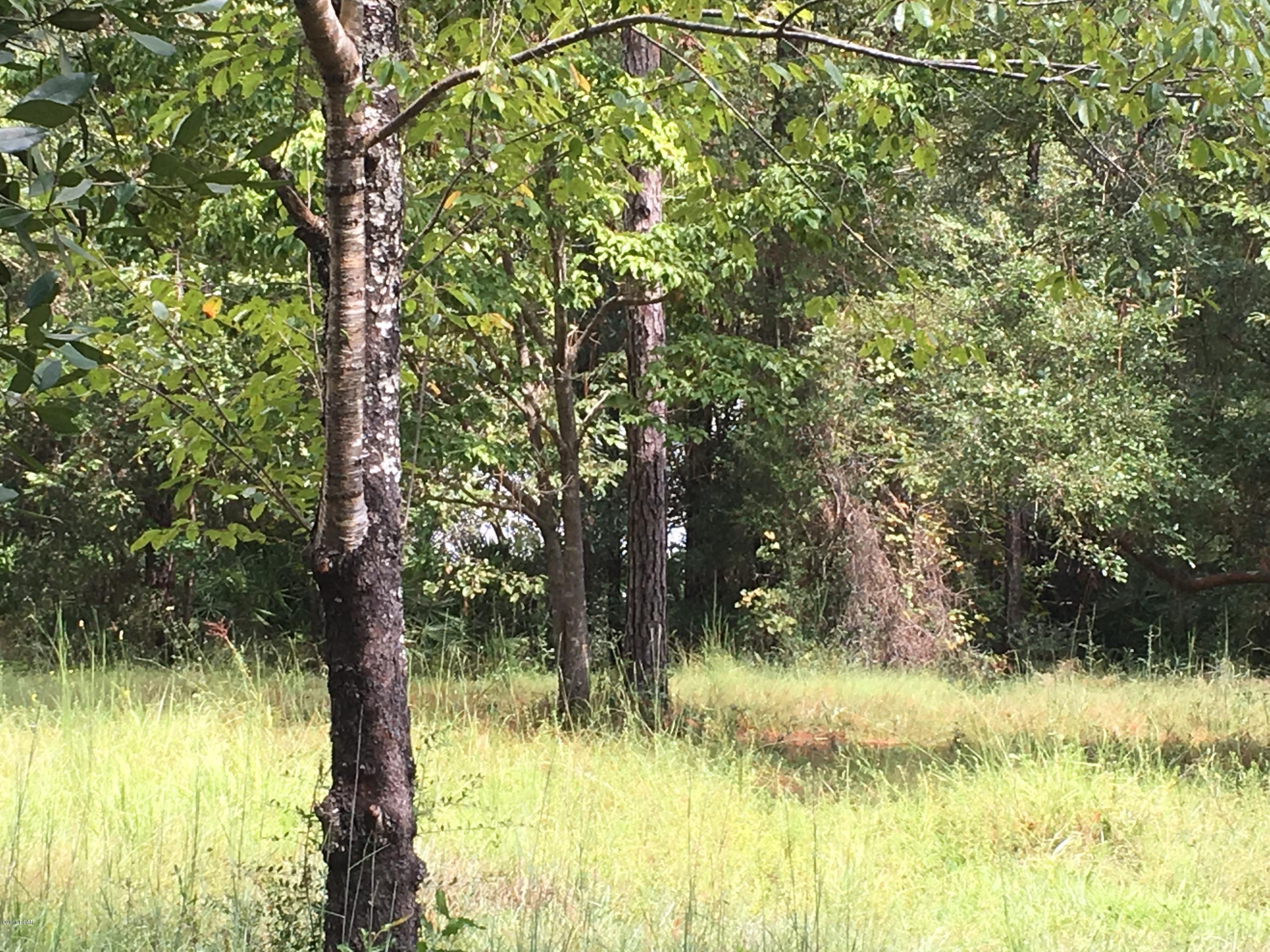 Sunny Hills - Residential