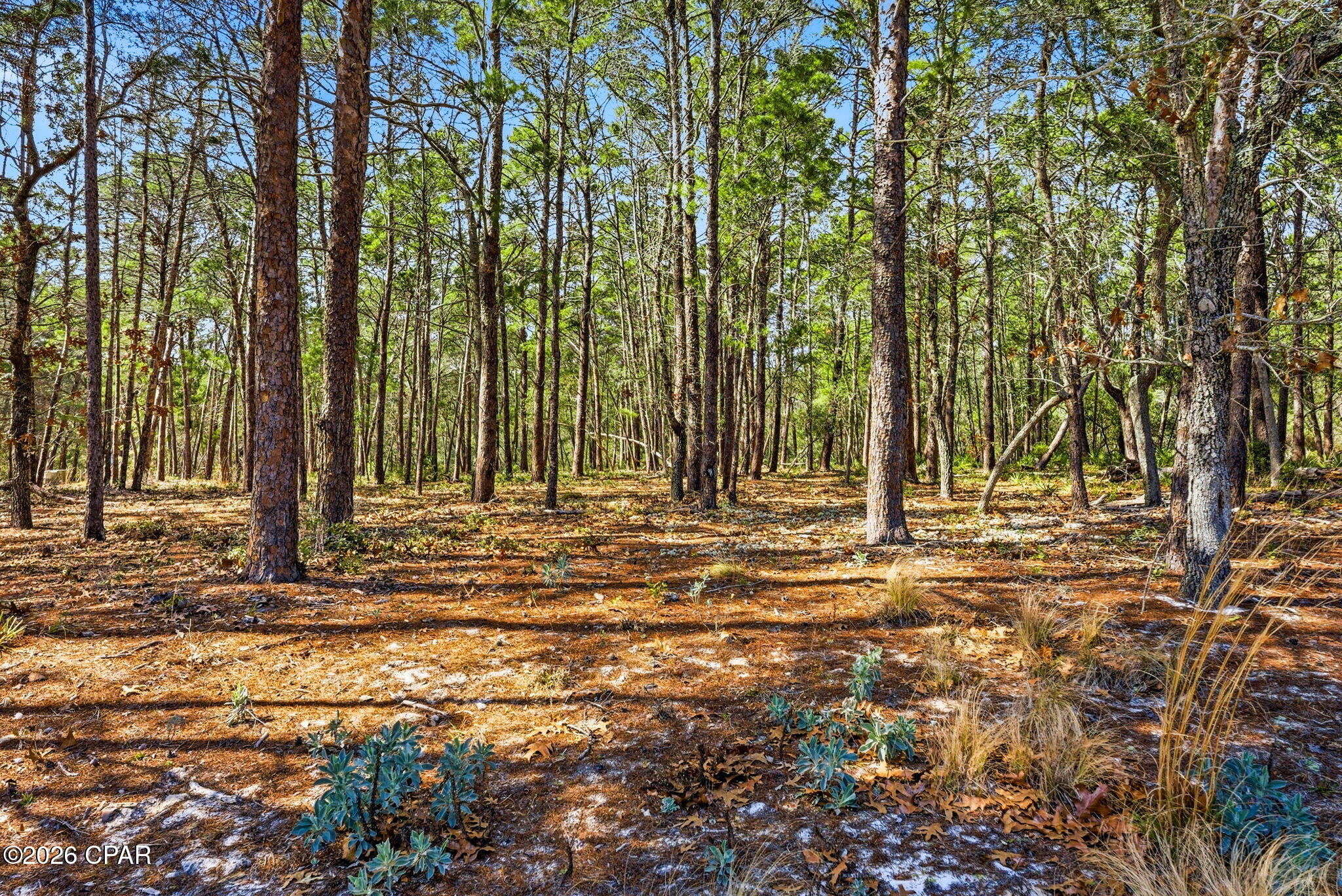 Wild Heron Phase V - Land