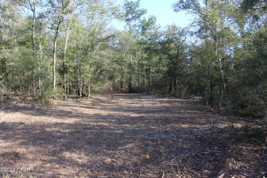 Let's go to the Country!  This pretty parcel is ready for you!  Features of this wooded parcel include privacy which backs up to the historic Moss Hill Methodist Church, easy drive to the schools, towns, Holmes Creek, numerous So Washington County Lakes and, of course, our Sugar White Sand Beaches!  No Restrictions.  Call today to set your private showing of this parcel or take a look, we won't mind.