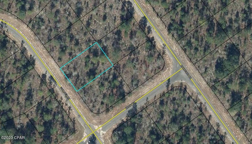 Great building lot in Sunny Hills. Convenient location to HWY 77. Sunny Hills is a deed restricted community with a popular and affordable 18 hole public golf course. Located approximately 25 miles north of Panama City and 18 miles south of Chipley. There are several large builders currently building new homes in this community. Sunny Hills is uniquely ready to accept the new growth moving north out of Panama City. Buyer to pay title insurance, closing fee, and doc stamps on the deed.
