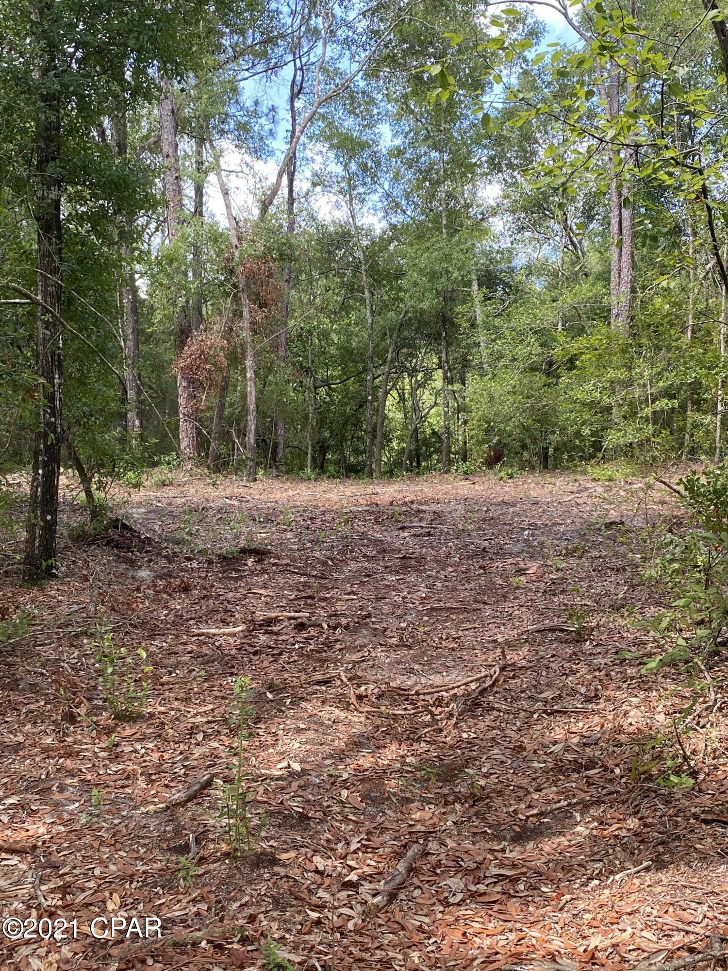 Grassy Pond Ranch - Land