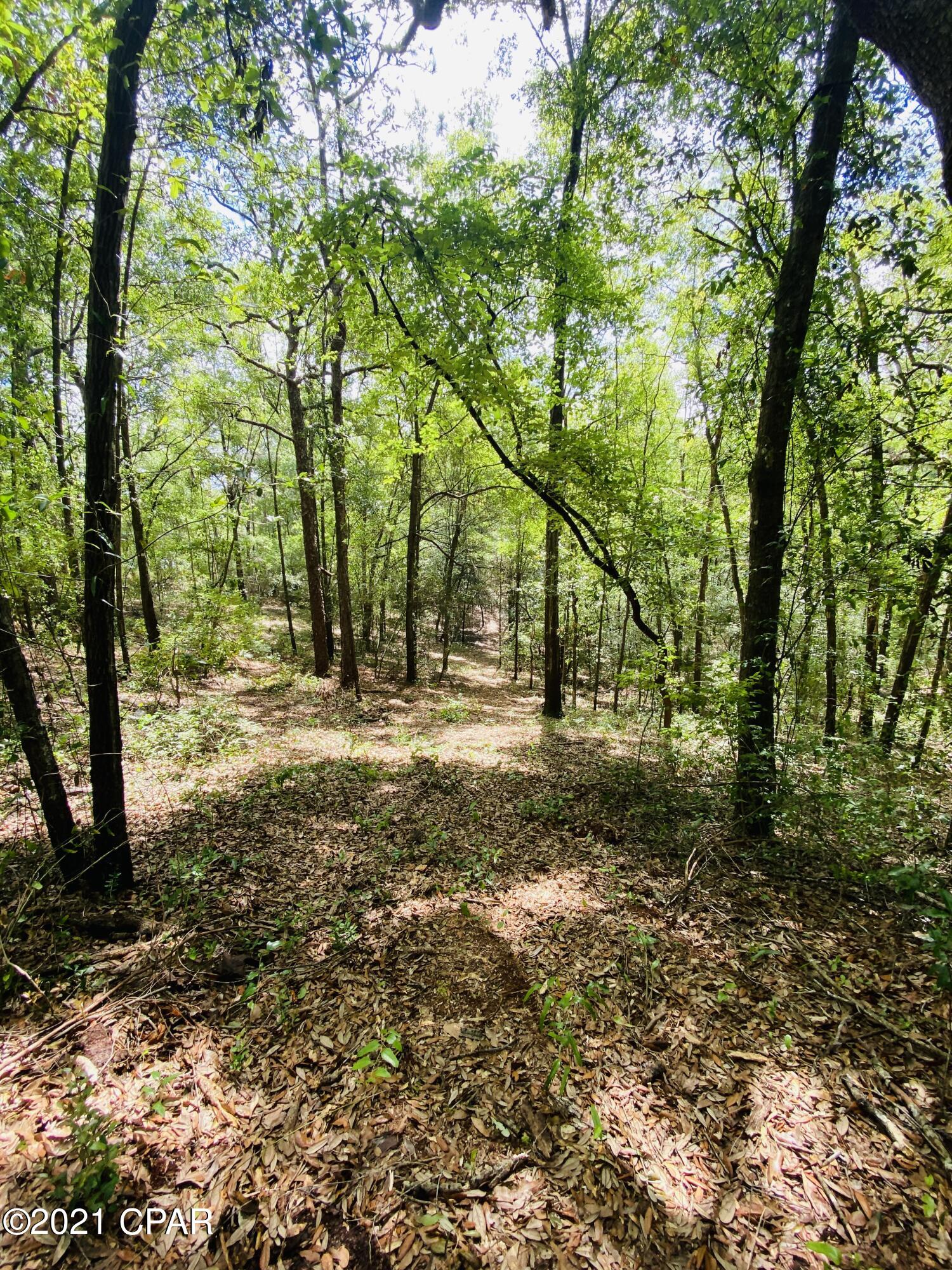Grassy Pond Ranch - Land