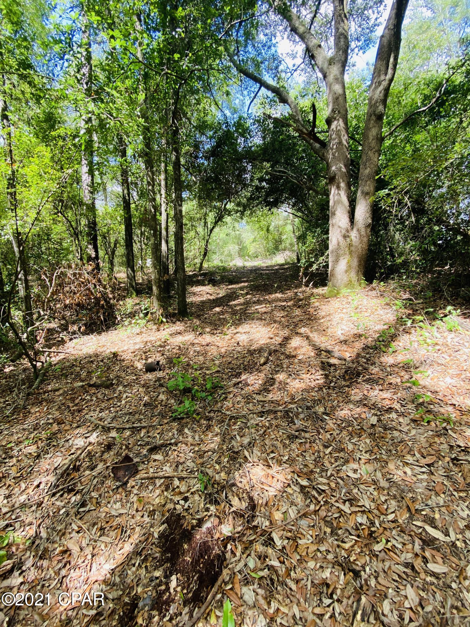 Grassy Pond Ranch - Land