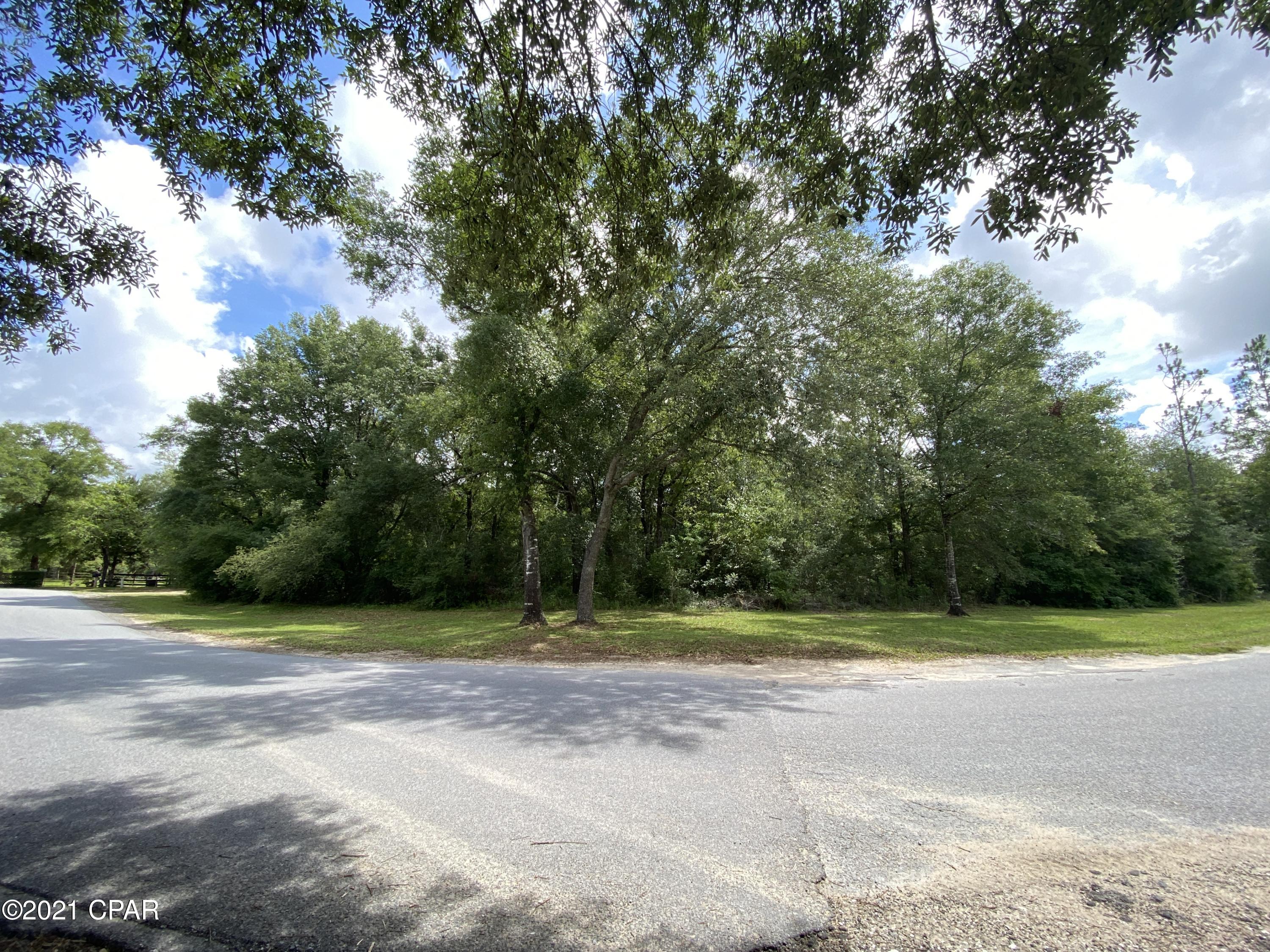 Grassy Pond Ranch - Land