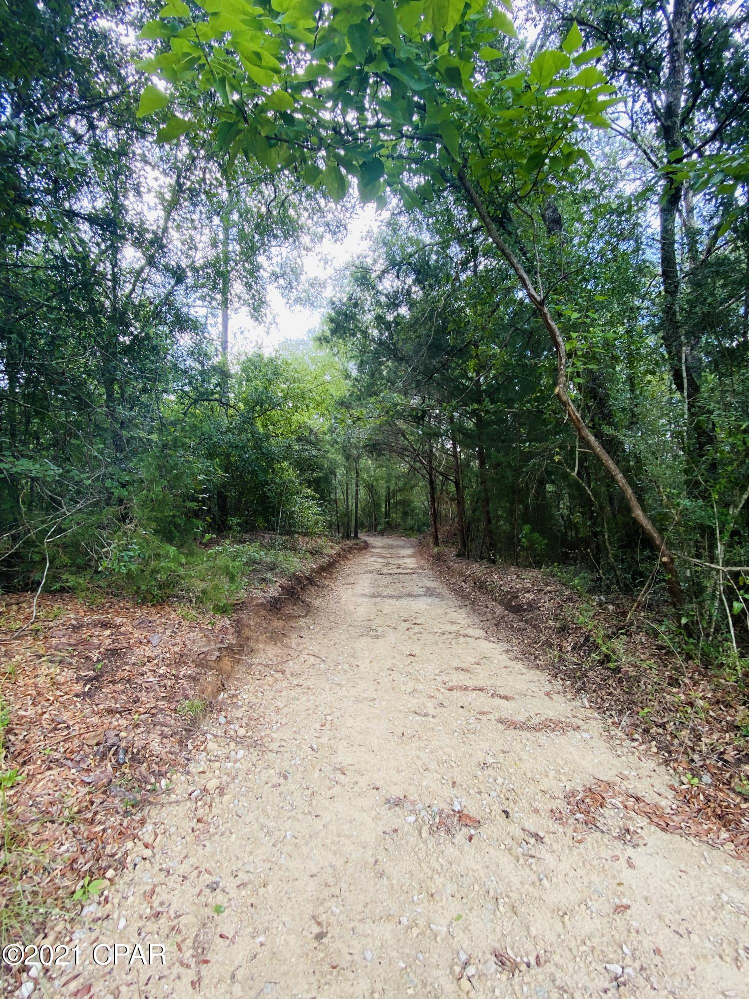Grassy Pond Ranch - Land