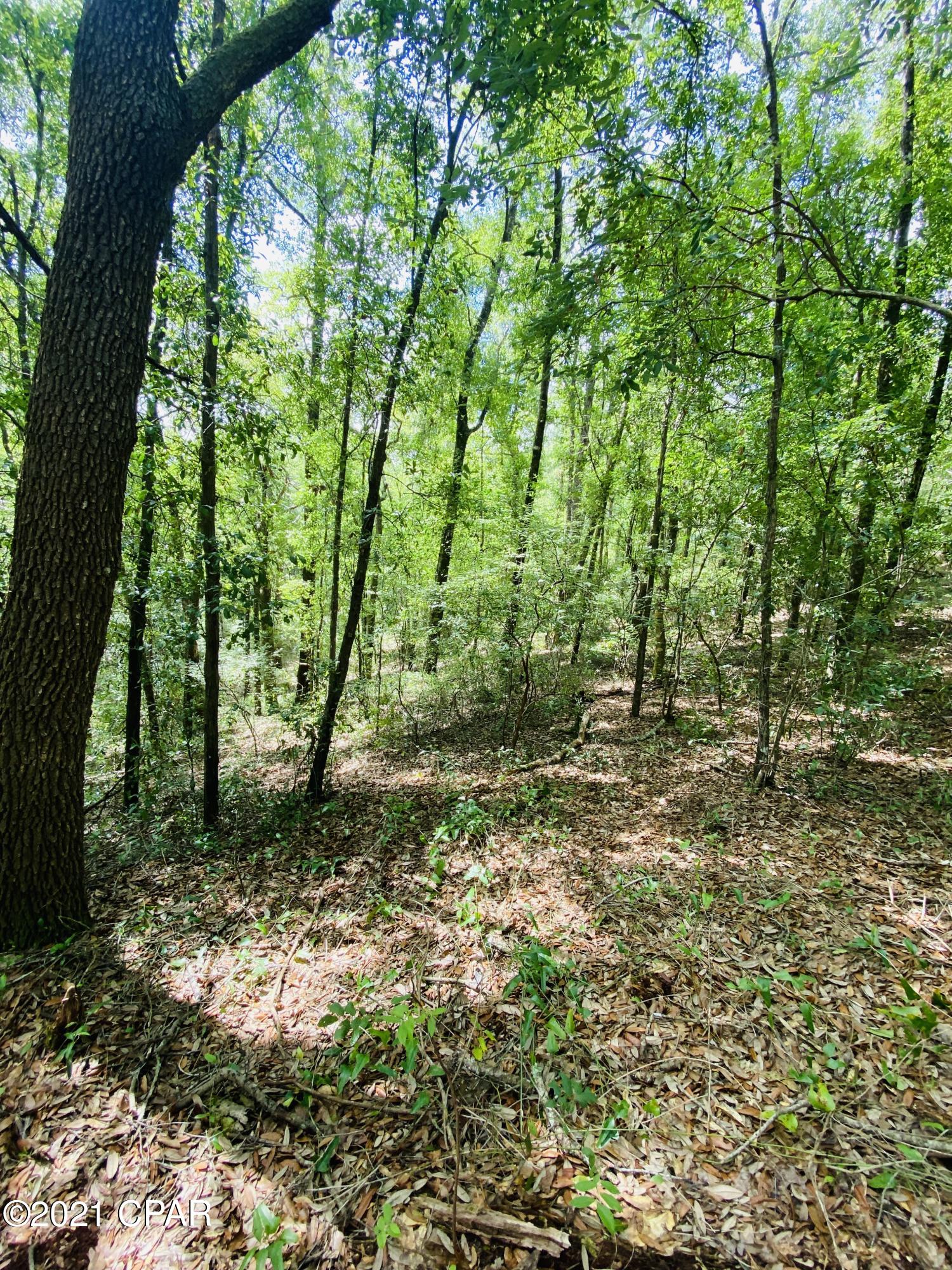 Grassy Pond Ranch - Land