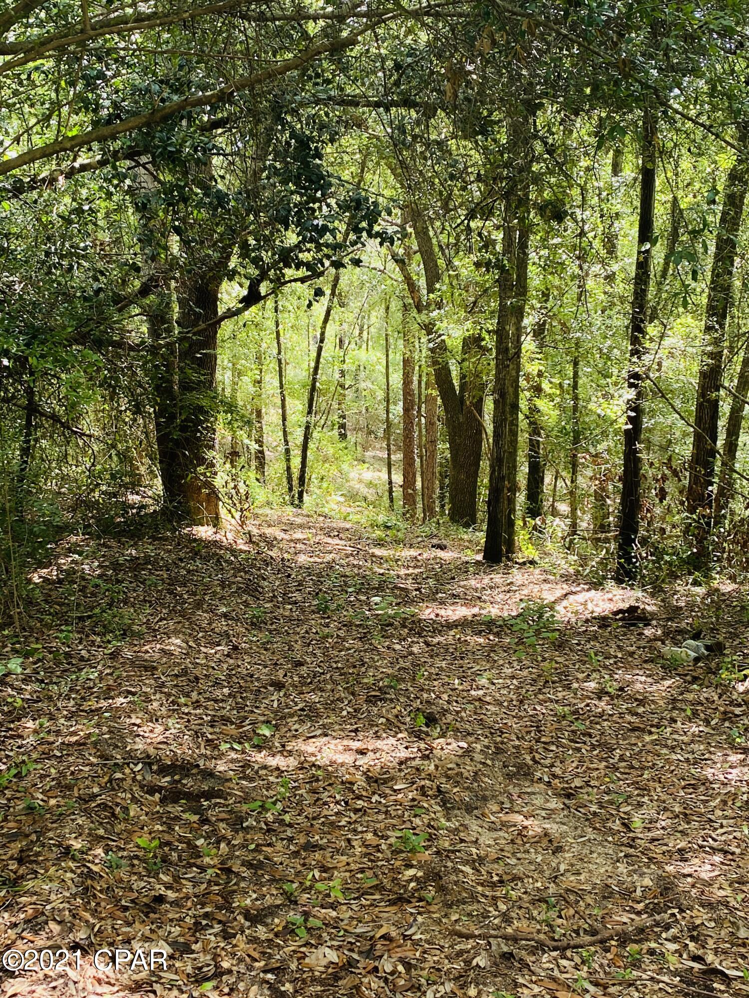Grassy Pond Ranch - Land