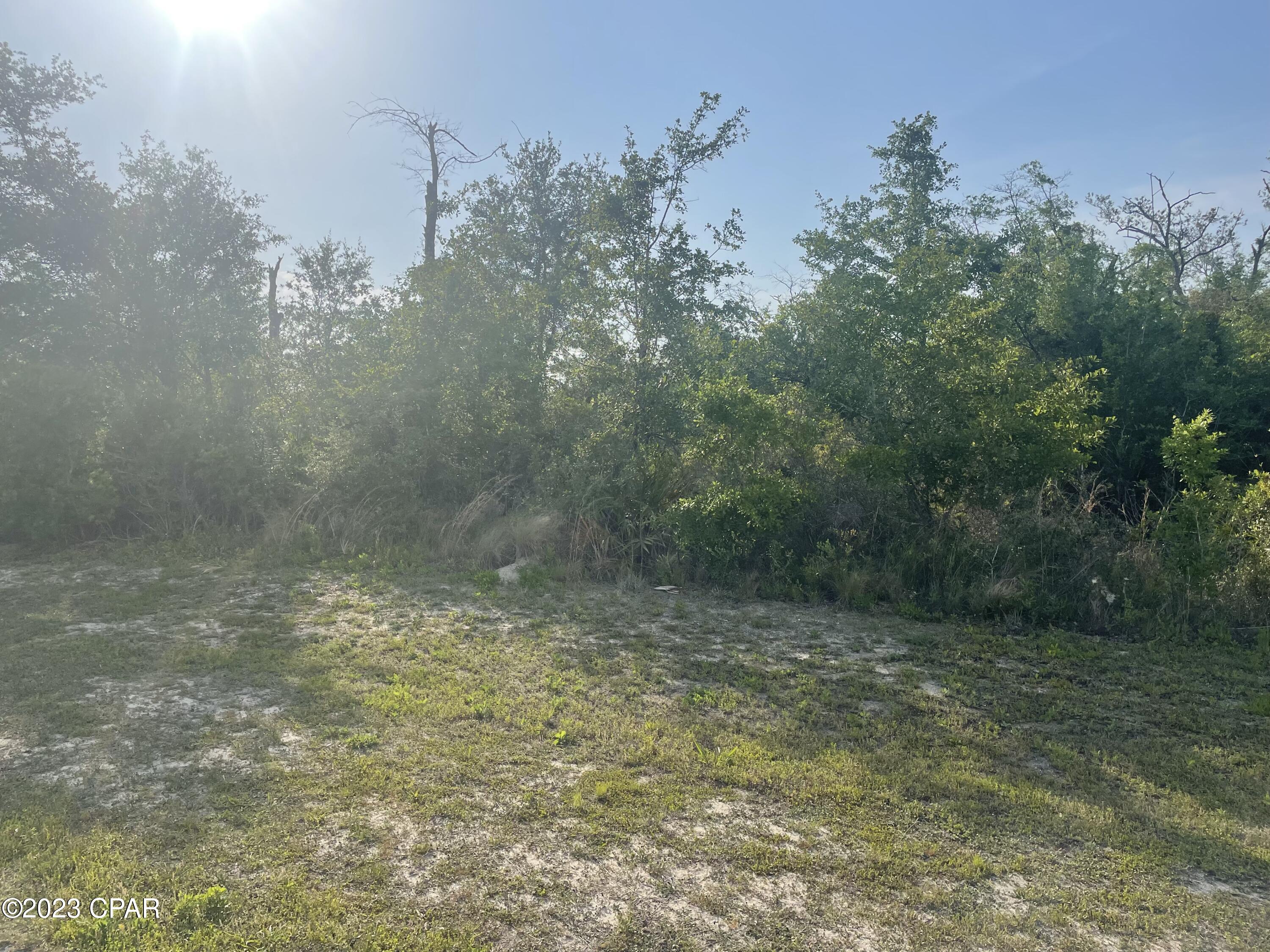 Cedar Creek At Deerpoint Lake - Land