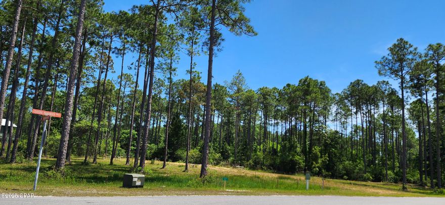 Beautiful large corner building lot on paved road with improvements, surveyed, cleared, fill brought in for the building pad, and utilities established.  Rivercamps is a restricted development that is secluded in a natural setting with natural wooded buffers, large lots, and an abundance of wildlife.  Meandering paved roads, walking and nature trails, private marina, dock, pool and pavilion, and access to Crooked Creek and West Bay.  Coming soon will be the rebuild of the community Riverhouse.