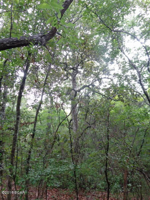 Leisure Lakes - Land