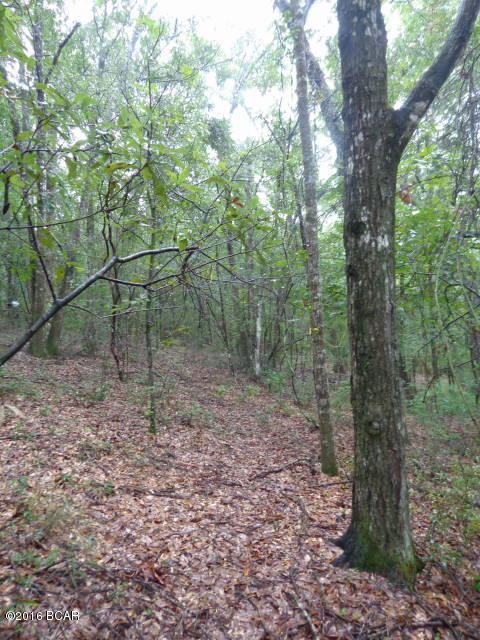 Leisure Lakes - Land