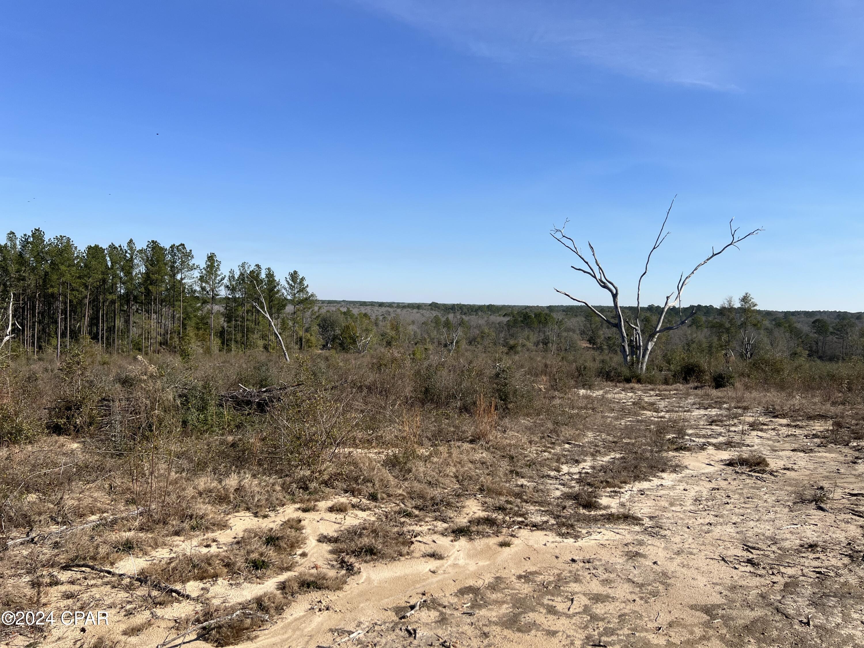 [No Recorded Subdiv] - Land