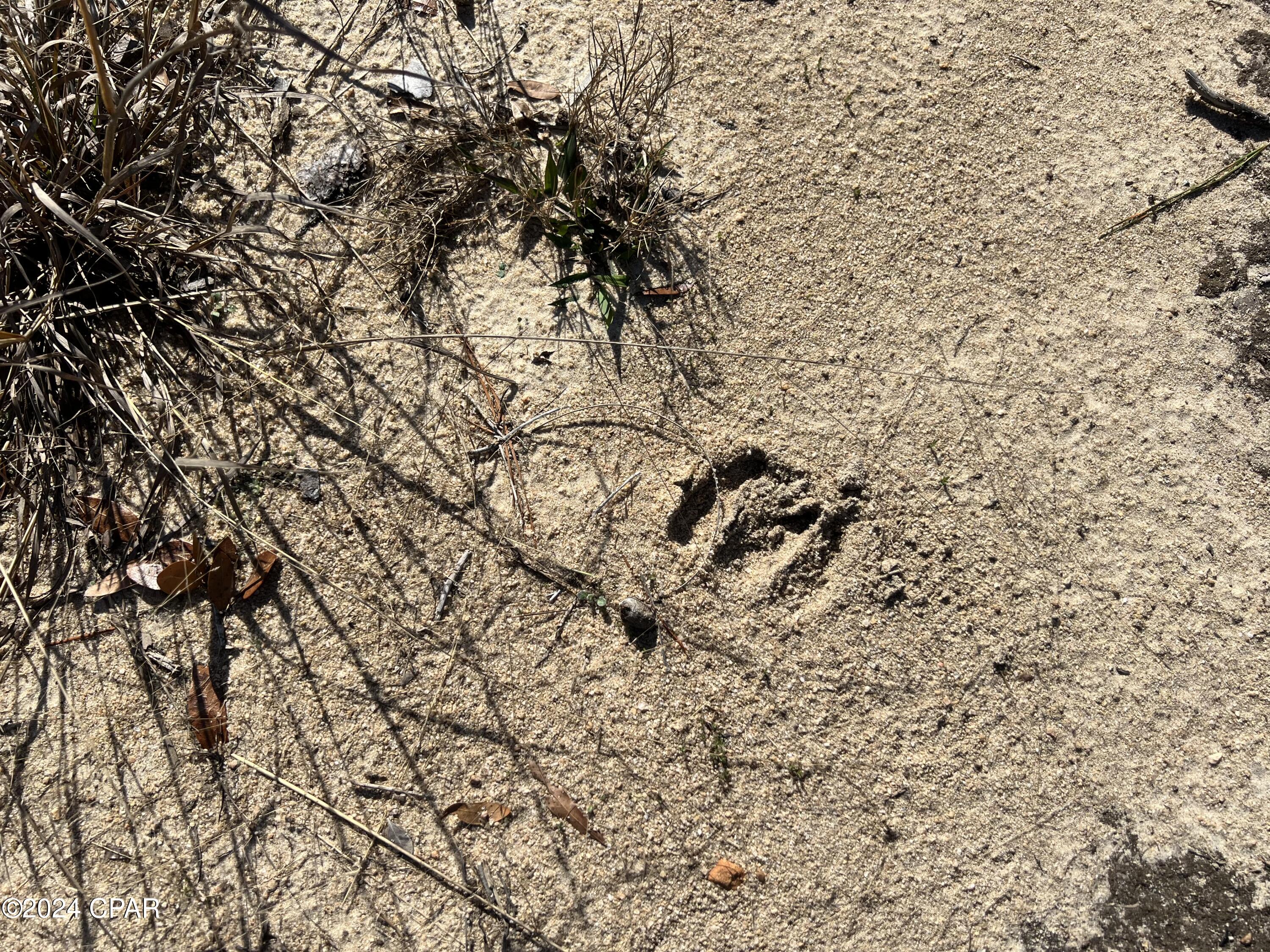 [No Recorded Subdiv] - Land