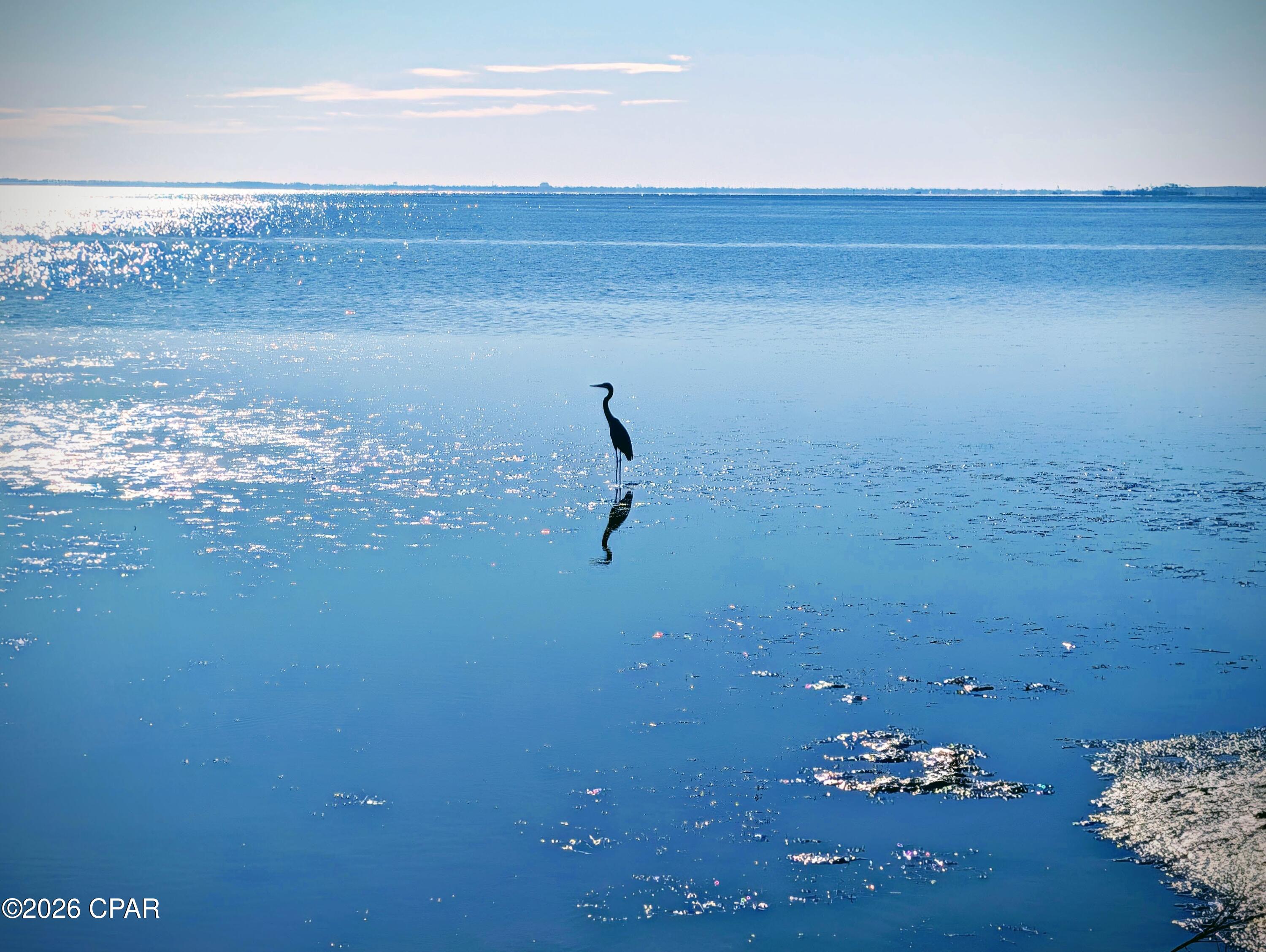 Panama City Beach, Florida, 32413, United States, 5 Bedrooms Bedrooms, ,4 BathroomsBathrooms,Residential,Active,2008889