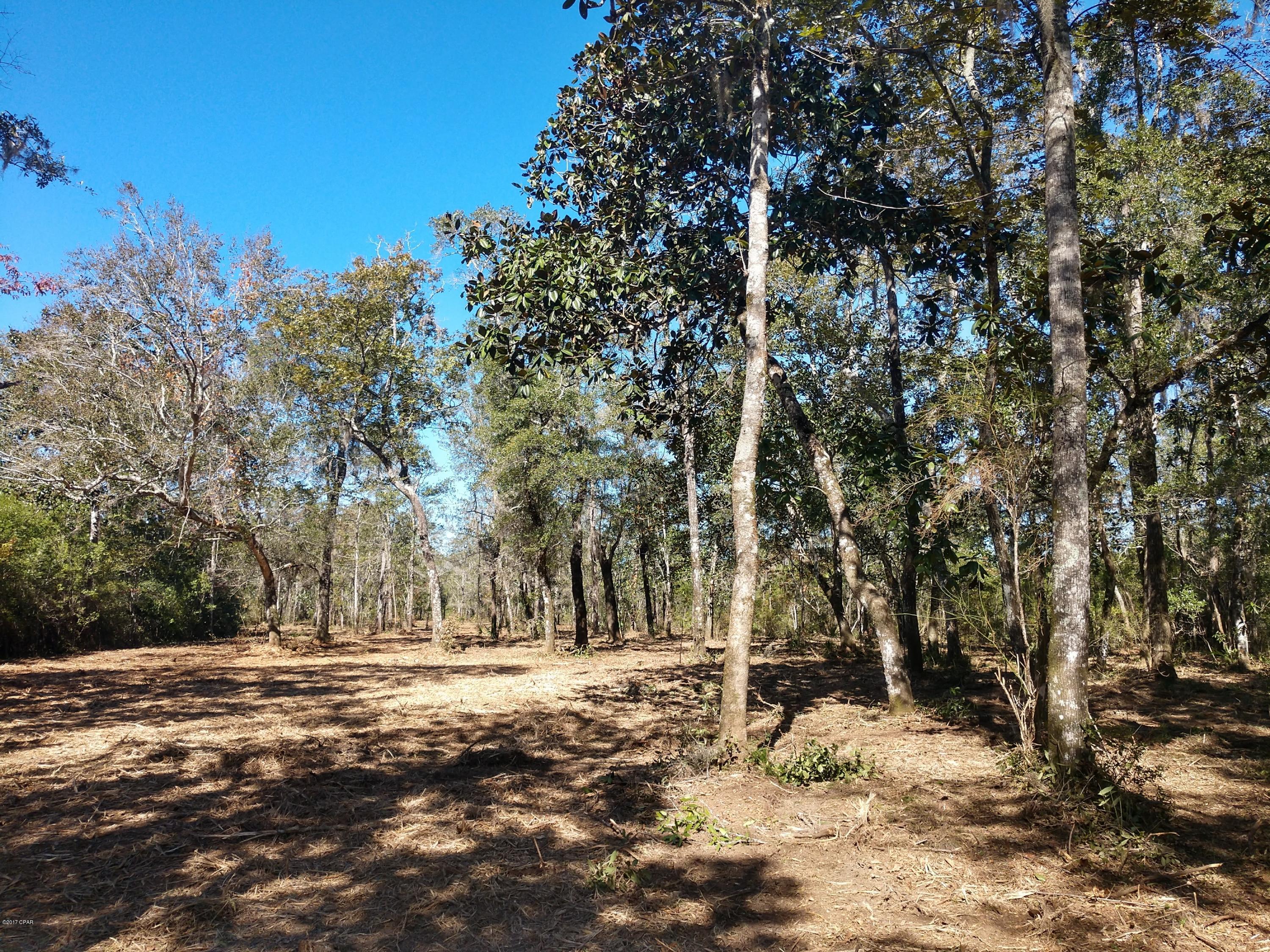 Cedar Creek Ph II - Land