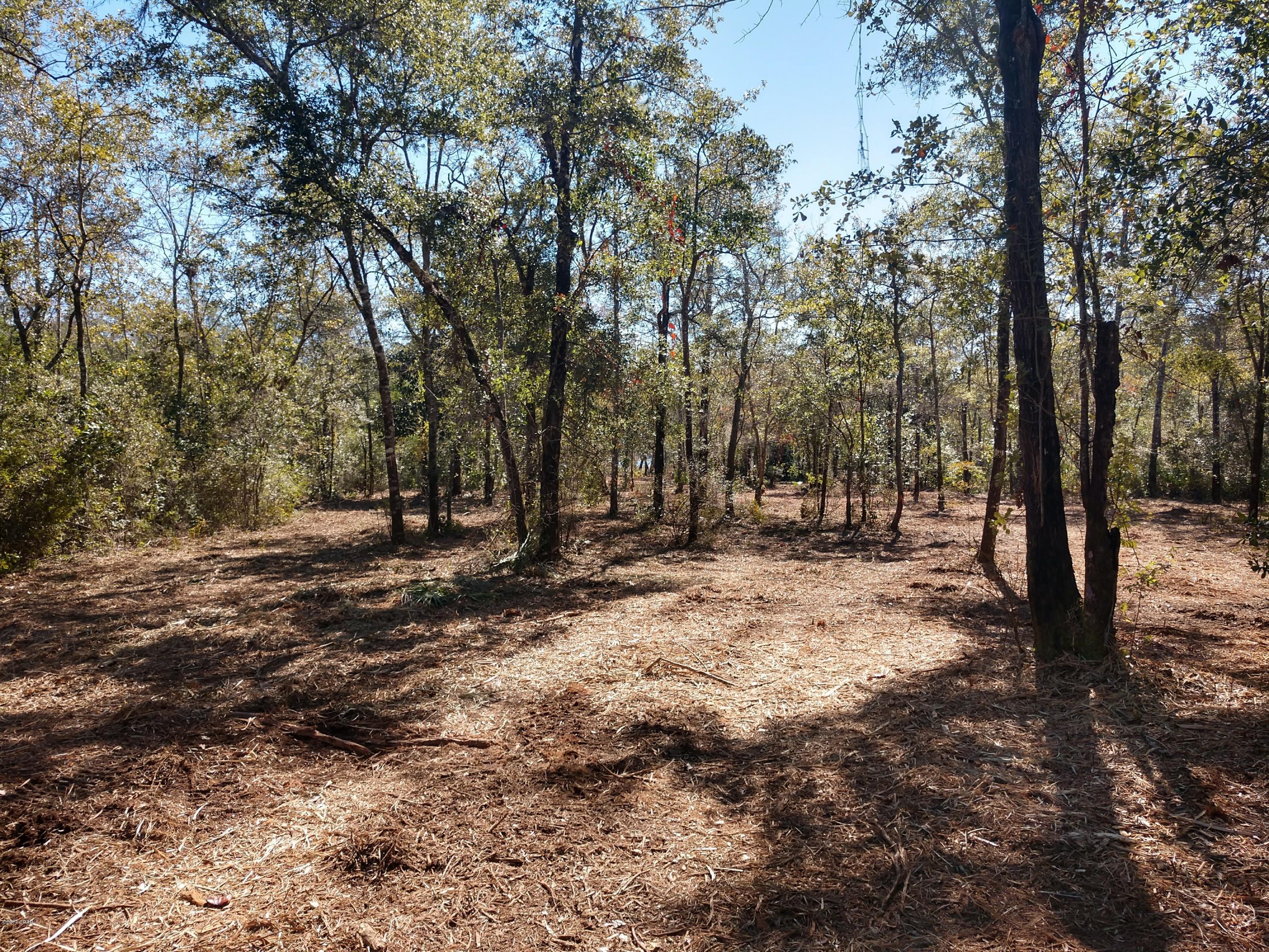 Cedar Creek Ph II - Land