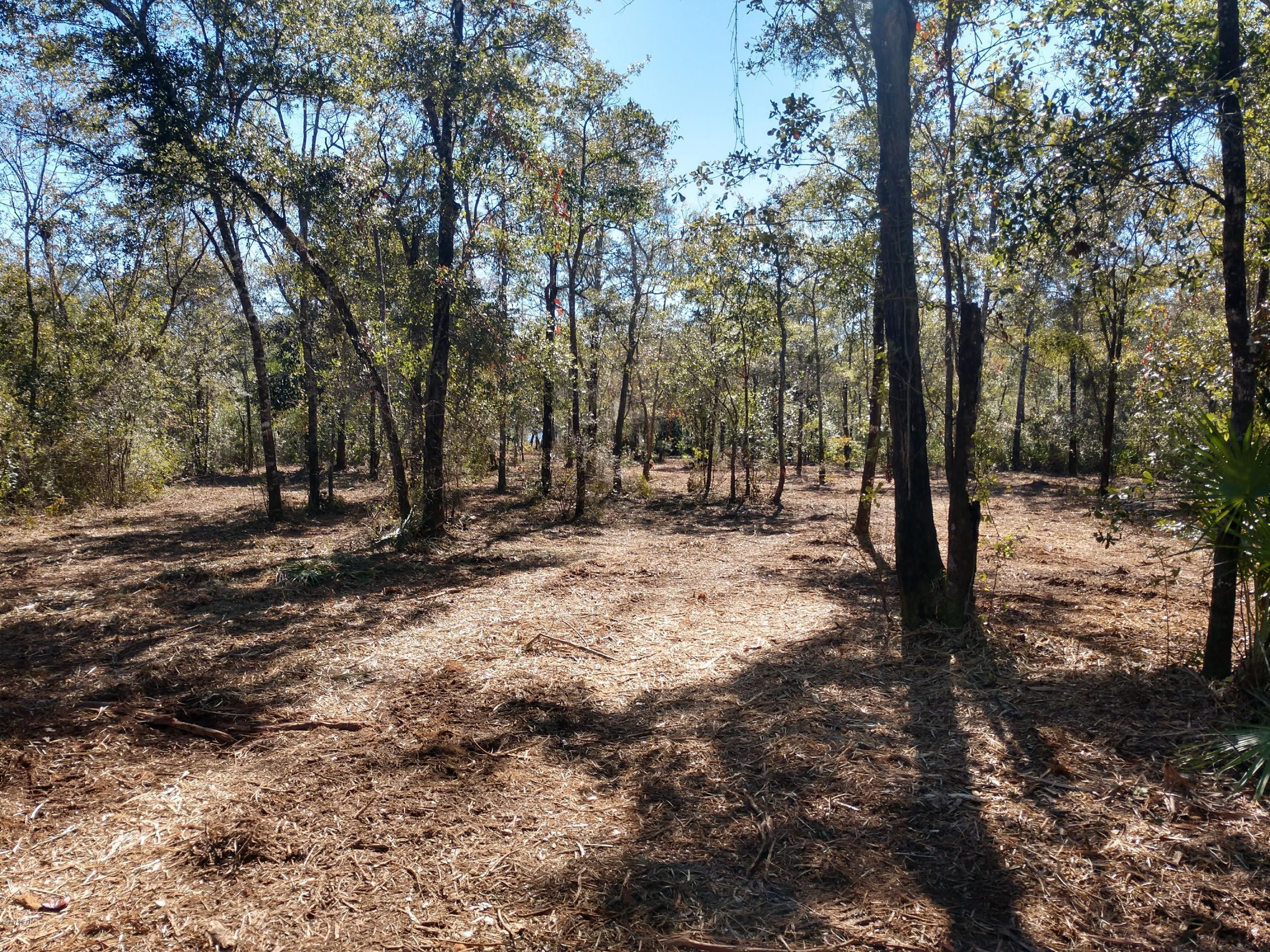 Cedar Creek Ph II - Land