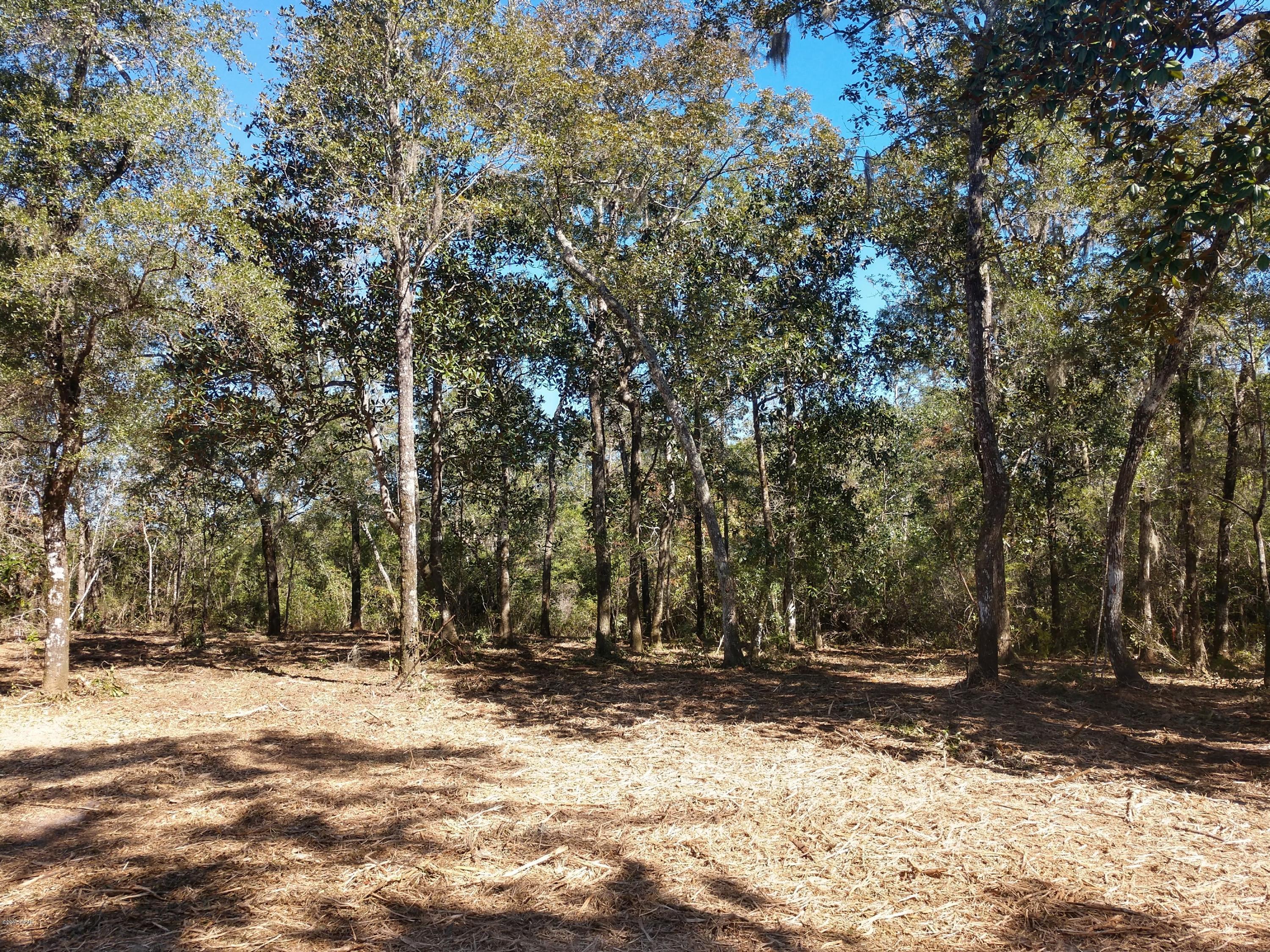 Cedar Creek Ph II - Land