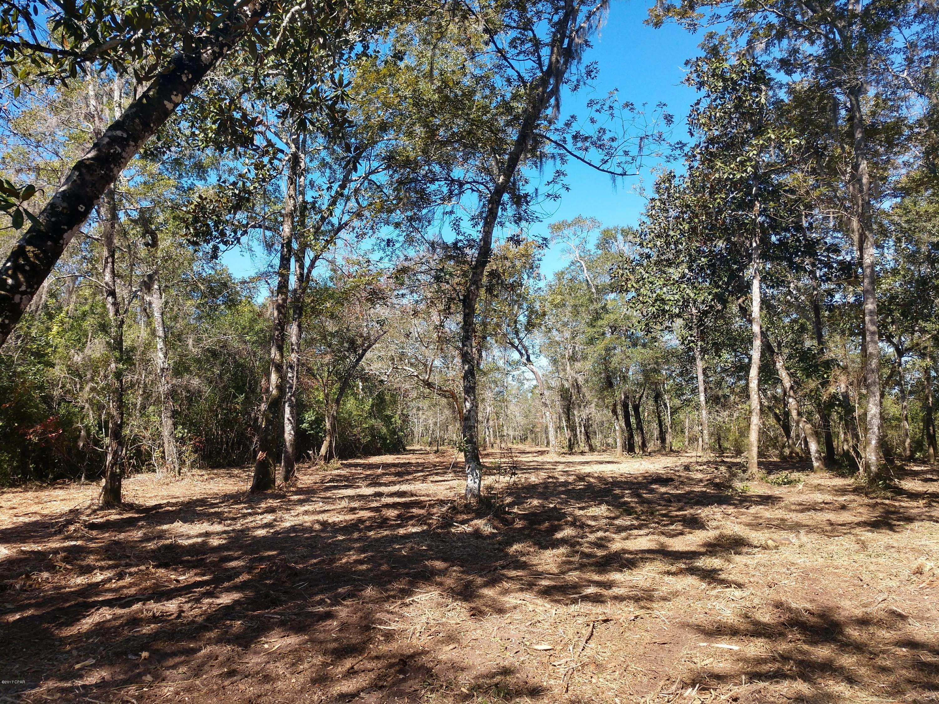 Cedar Creek Ph II - Land