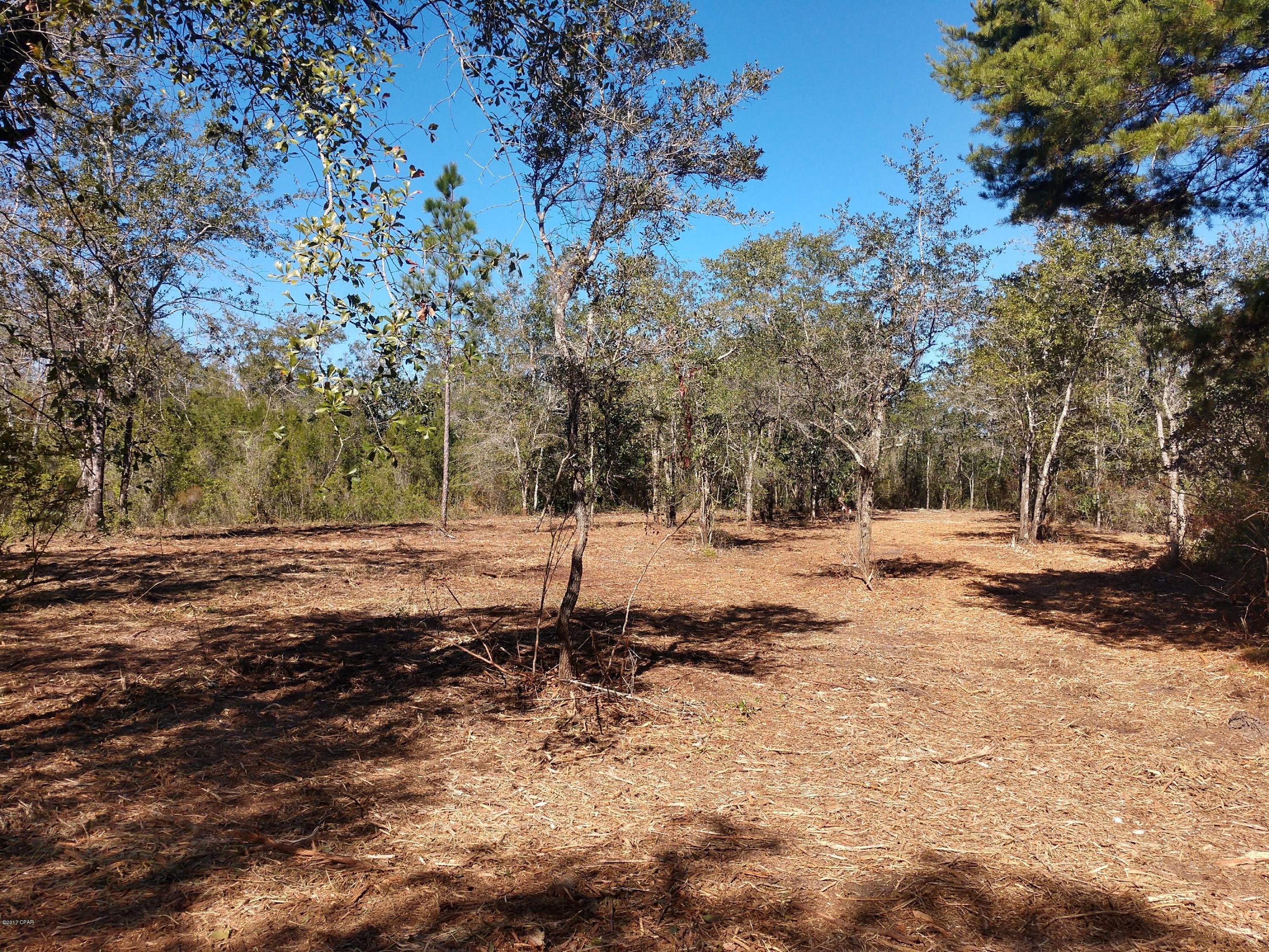 Cedar Creek Ph II - Land