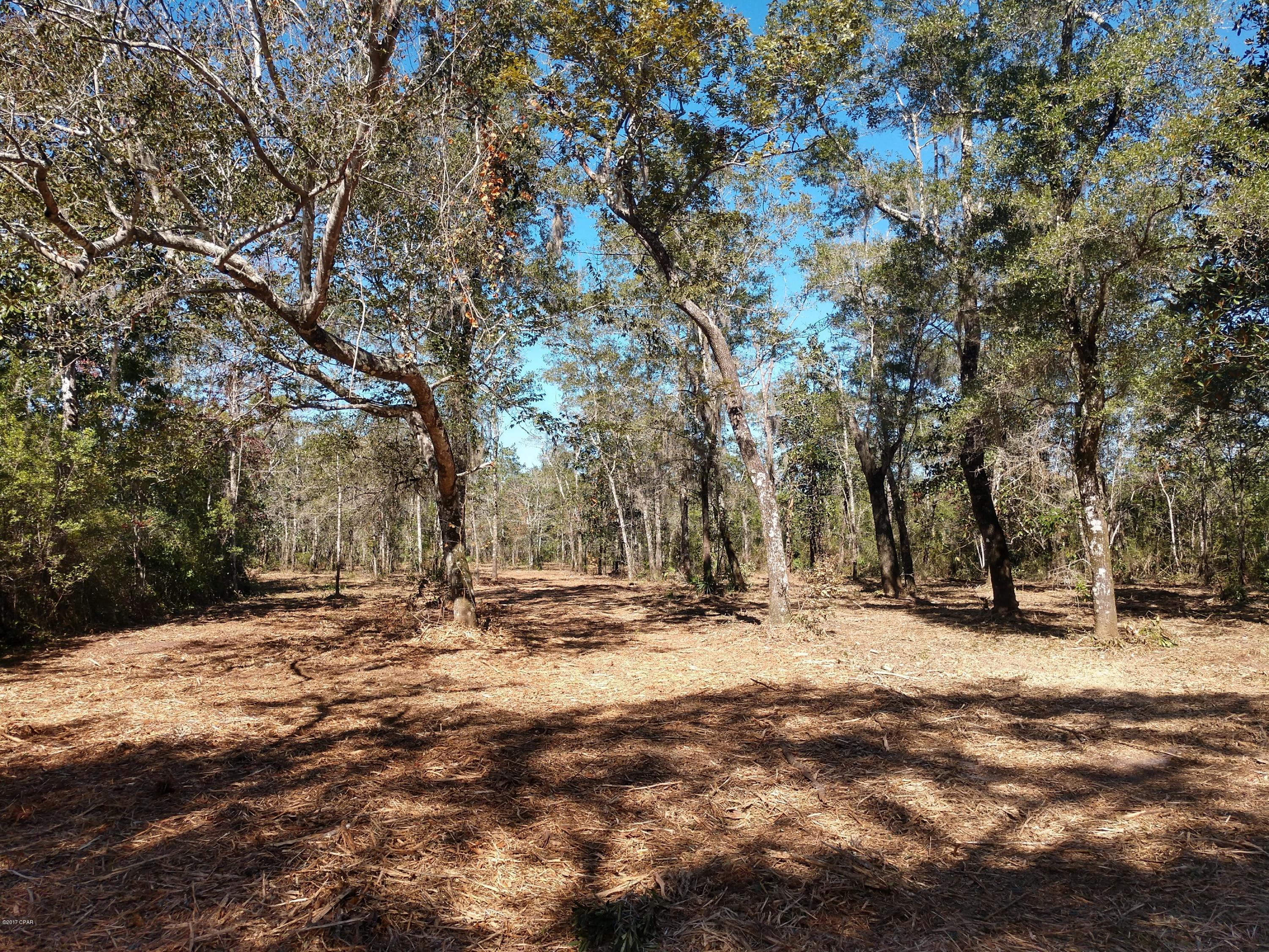 Cedar Creek Ph II - Land