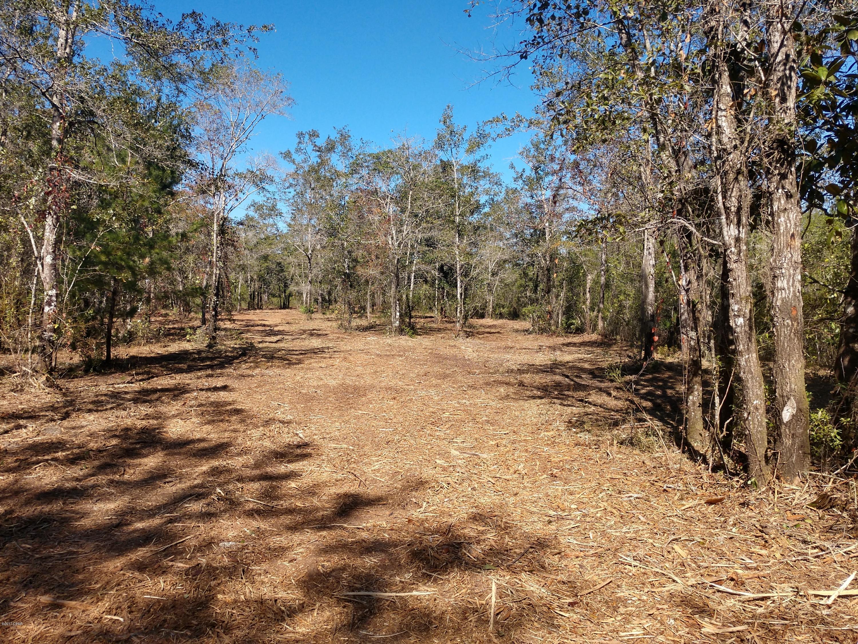 Cedar Creek Ph II - Land