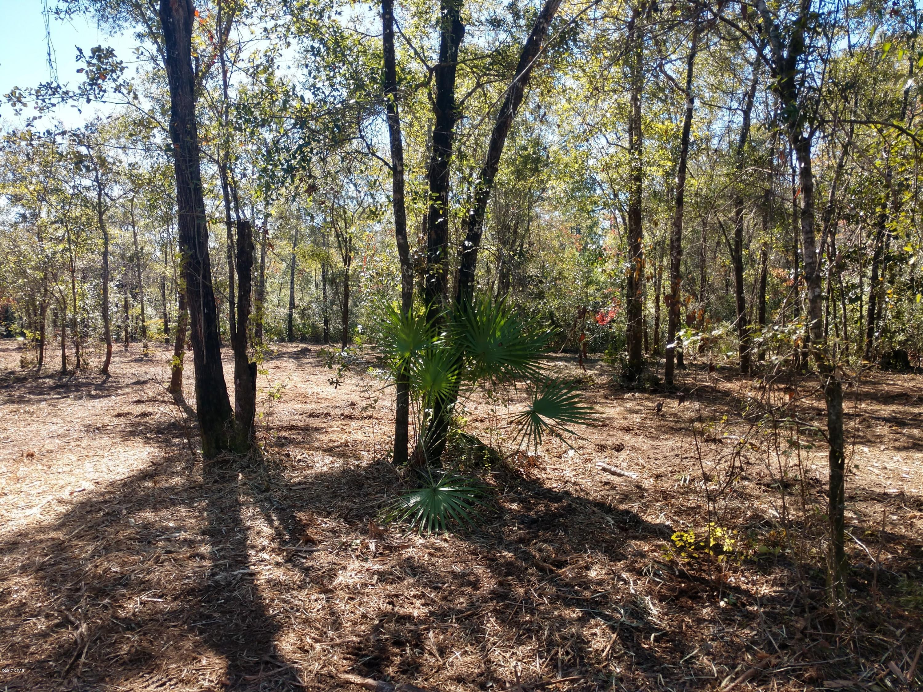 Cedar Creek Ph II - Land