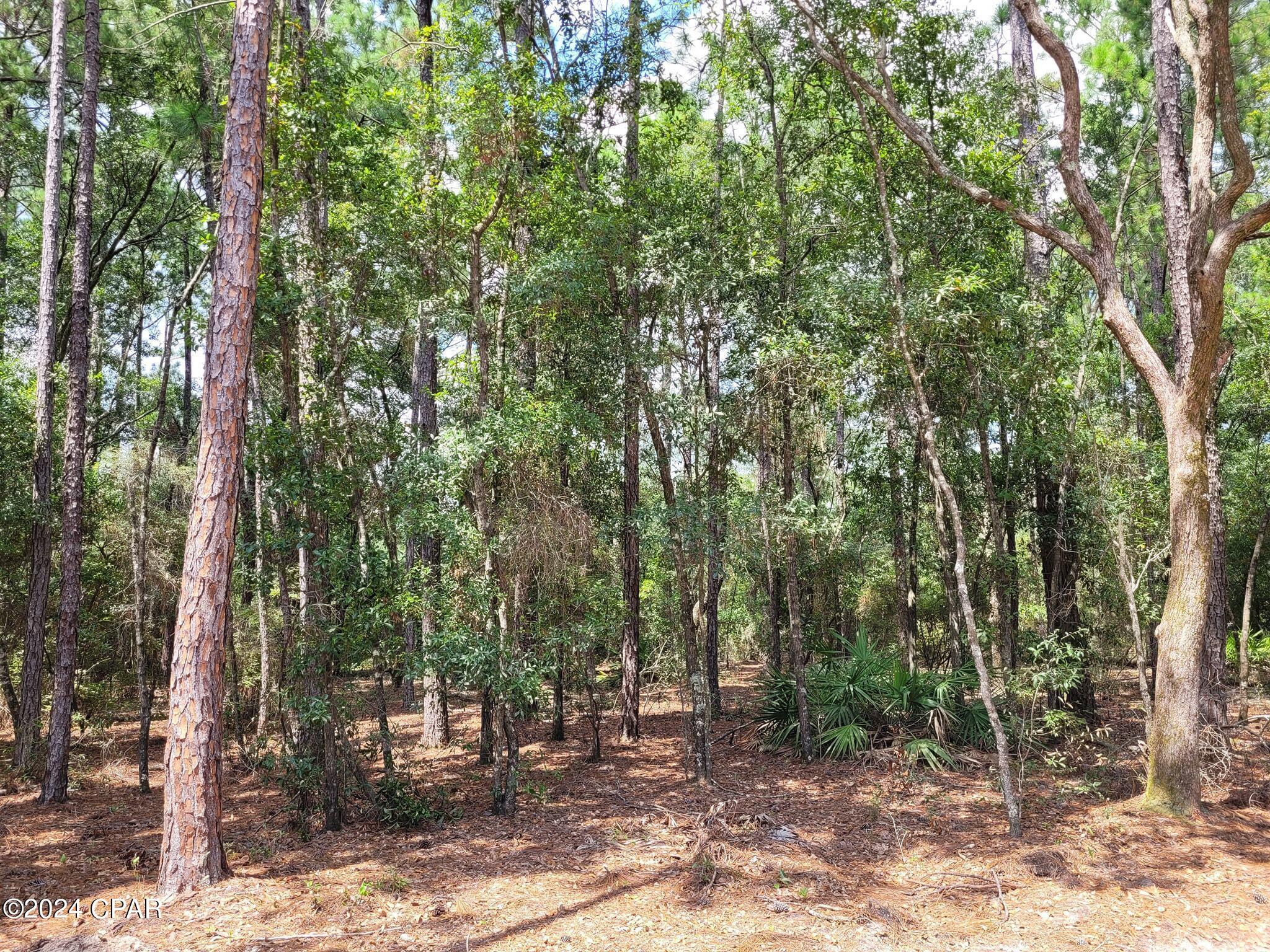 Belle Aire Estates - Residential