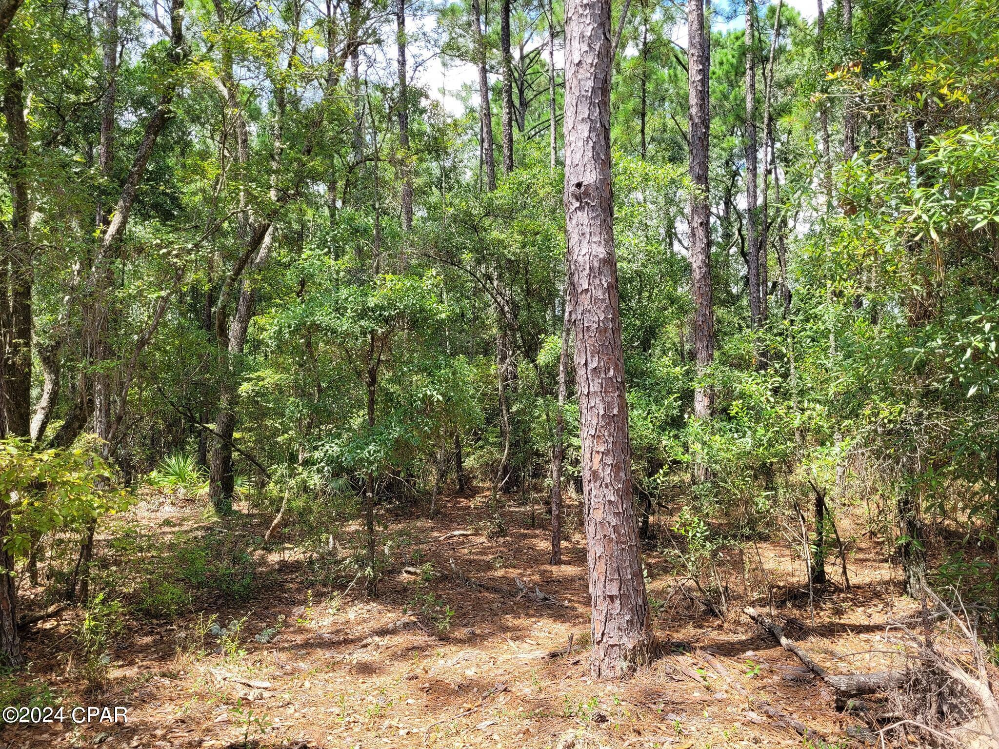 Belle Aire Estates - Residential