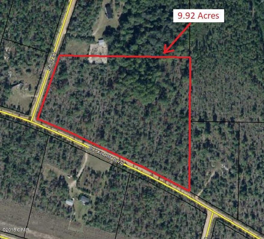 9.92 Acres of vacant land.  This would be a great building lot or recreational property. Only a short distance from a paved road. Mobile homes allowed.  The County has indicated that they are hoping to fund the pavement of Buckhorn Blvd which adjoins this lot in the near future.