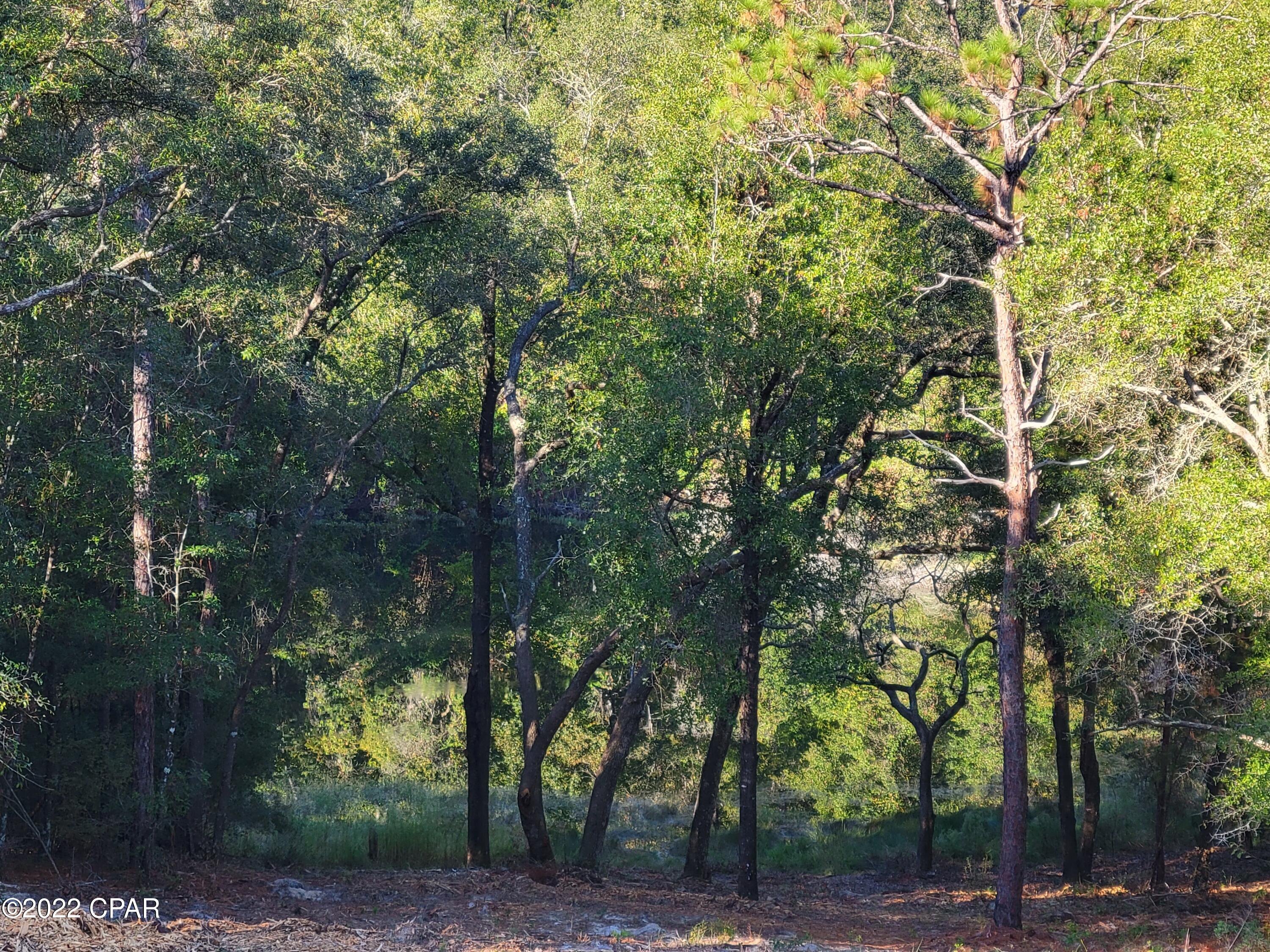 Leisure Lakes - Residential