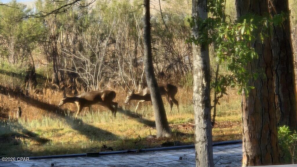 Silver Lake - Residential