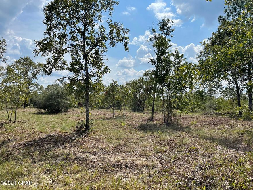 Cleared building lot in quiet Sunny Hills Subdivision. Buy individually or double your building space with Lot 18 too.  



Less than 40 miles to Panama City Beach and 20 miles to the amenities in Chipley.